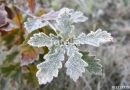 Meteo: altre prove d’inverno all’orizzonte