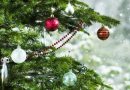 Dopo le feste, diamo una seconda vita agli alberi di Natale