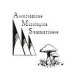 San Marino. L’Associazione micologica sui lavori per la nuova antenna: territorio compromesso