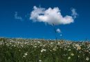 Meteo: weekend freddino, ma la primavera arriva la prossima settima