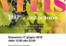 L’associazione sommelier presenta: “VITIS – 100% autoctono”