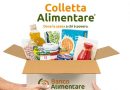 Il popolo della colletta alimentare ha donato 16,7 milioni di pasti