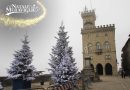 Natale delle meraviglie: arrivano gli alberi innevati in Piazza della Libertà