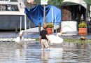 Maltempo Nord Italia: Frane e allagamenti, a Como esonda lago Smottamenti e strade chiuse in provincia di Sondrio