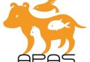 APAS: da quest’anno aperta anche al piccione!