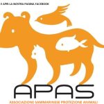 APAS: preoccupazione per il rally