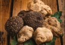 La stagione del tartufo: sagre, fiere e cucina tra Emilia Romagna e Marche