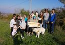 Iniziativa Fridays for Future San Marino: “GHANDIAMO!”