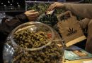 Cannabis terapeutica, farmaco gratis in Sicilia