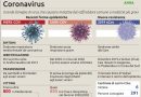 Virus Cina: arrivato all’uomo dai serpenti. Aumentano i morti Scattano i controlli negli aeroporti