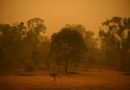 Australia: 24 morti negli incendi, condizioni meteo implacabili, si teme una catastrofe