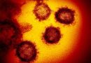 Coronavirus, gli asintomatici oscillano tra il 20 e il 60% dei casi: i dati della letalità calerebbero