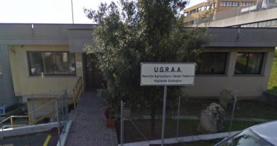 Aperto lo Sportello di Assistenza EUDR presso l’Ufficio Gestione Risorse Ambientali ed Agricole (UGRAA)