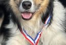 Canicross: successo per Paola Carinato&Icy