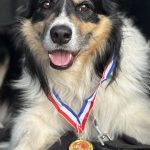 Canicross: successo per Paola Carinato&Icy