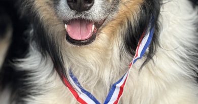 Canicross: successo per Paola Carinato&Icy