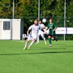 Risoluzione consensuale del contratto con il con Filippo Baldinini