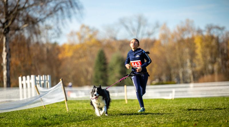 Torna la Christmas Run organizzata dalla San Marino Athletics Academy