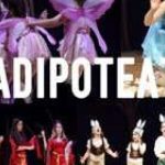 Ripartono i corsi della Scuola di Teatro e Danza Creativa Bradipoteatar