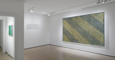 La mostra “Carla Accardi, oroargento” in corso alla Galleria dello Scudo, questa sera su Sky Arte