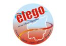 Elego su ICEE: percorso legislativo e prospettive sociali future