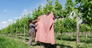 Provincia Cosmica. Intervista all’artista che ha lasciato tutto per vivere in campagna (nel segno di Joseph Beuys) 