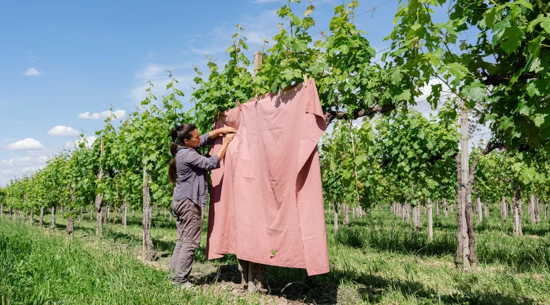 Provincia Cosmica. Intervista all’artista che ha lasciato tutto per vivere in campagna (nel segno di Joseph Beuys) 