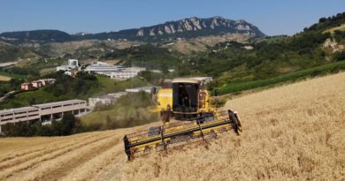 Agricoltura: qualità, sostenibilità e giovani al centro delle politiche del Paese