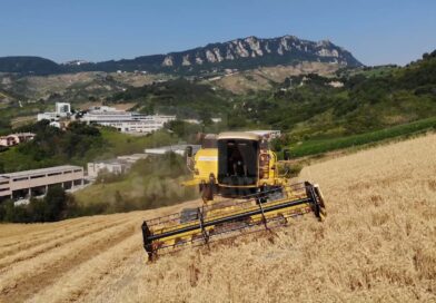 Agricoltura: qualità, sostenibilità e giovani al centro delle politiche del Paese