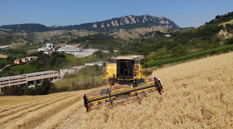 Agricoltura: qualità, sostenibilità e giovani al centro delle politiche del Paese