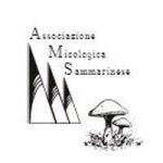 Associazione Micologica, siamo ancora carenti di piccole opere: marciapiedi, sentieri e piste ciclabili