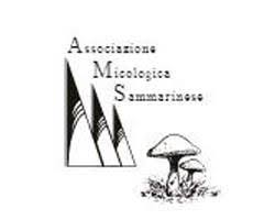 Associazione Micologica, siamo ancora carenti di piccole opere: marciapiedi, sentieri e piste ciclabili