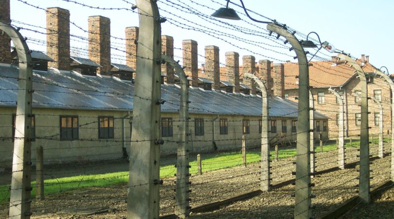 PDCS: Giornata della Memoria, un impegno civile contro odio e indifferenza