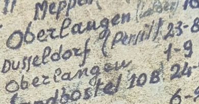 Alla Baldini: Progetto Impressioni “Diario di un ufficiale internato”