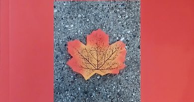 Alla Gambalunga, Lorenzo Scarponi presenta “La vóita dròinta”. E poi, lunedì, “La libertà” di Tomaso Montanari e Nadia Urbinati