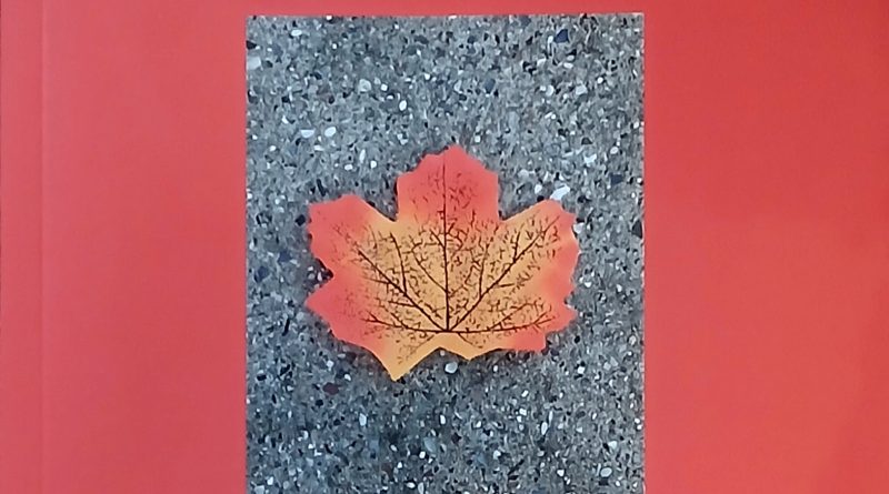 Alla Gambalunga, Lorenzo Scarponi presenta “La vóita dròinta”. E poi, lunedì, “La libertà” di Tomaso Montanari e Nadia Urbinati