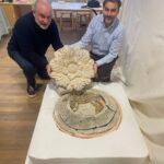 Le decorazioni della Basilica del Santo e della Chiesa di San Pietro. Conclusa la prima fase di studio dei materiali preparatori