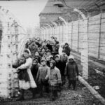 “Never again” (“Mai più”) è la promessa che accompagna ogni anno la Giornata della Memoria