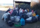 L’Associazione Micologica Sammarinese ha partecipato ad “Adopt a Beach” di Fiorenzuola di Focara