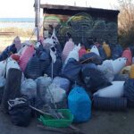 L’Associazione Micologica Sammarinese ha partecipato ad “Adopt a Beach” di Fiorenzuola di Focara