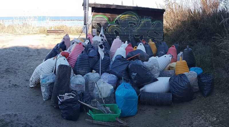 L’Associazione Micologica Sammarinese ha partecipato ad “Adopt a Beach” di Fiorenzuola di Focara