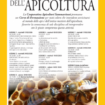 San Marino. Al via un corso di formazione sull’affascinante mondo dell’apicoltura