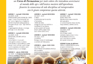 San Marino. Al via un corso di formazione sull’affascinante mondo dell’apicoltura
