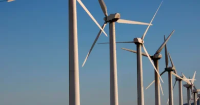 Bagno di Romagna, parco eolico sul Monte Comero: ritirato il progetto