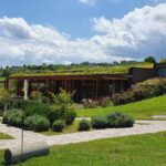 San Marino. Il Podere Lesignano apre il negozio di vendita diretta in azienda