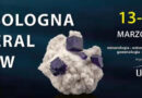 Bologna Mineral Show torna per tutti suoi appassionati