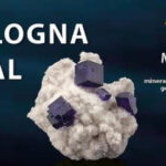 Bologna Mineral Show torna per tutti suoi appassionati