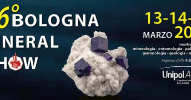 Bologna Mineral Show torna per tutti suoi appassionati