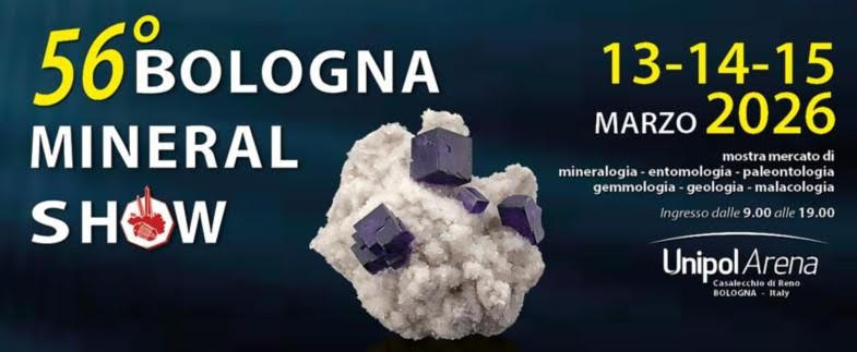 Bologna Mineral Show torna per tutti suoi appassionati