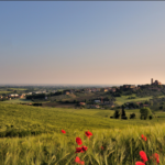 Coriano cresce e consolida il suo ruolo nell’entroterra riminese